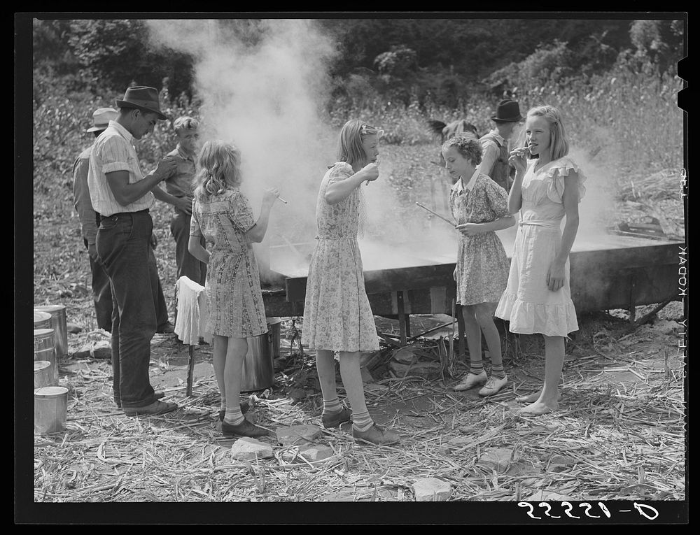 In the early fall many of the children remain away from school on "syrupping off" days. Sorghum syrup is boiled down from…