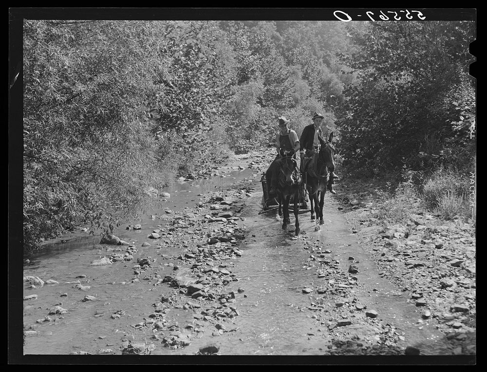 Mountaineers hauling coal up the creek bed to their homes. Morris Fork, Kentucky River, near Jackson, Kentucky. Sourced from…