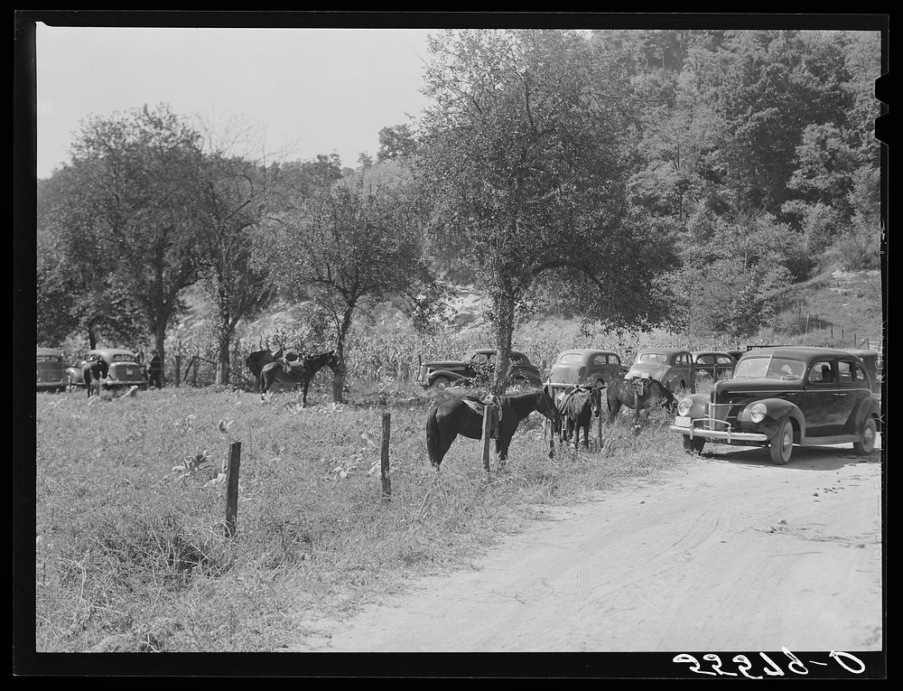 Horse, mules and automobiles standing outside mountain family's yard during a memorial meeting up Frozen Creek, near…