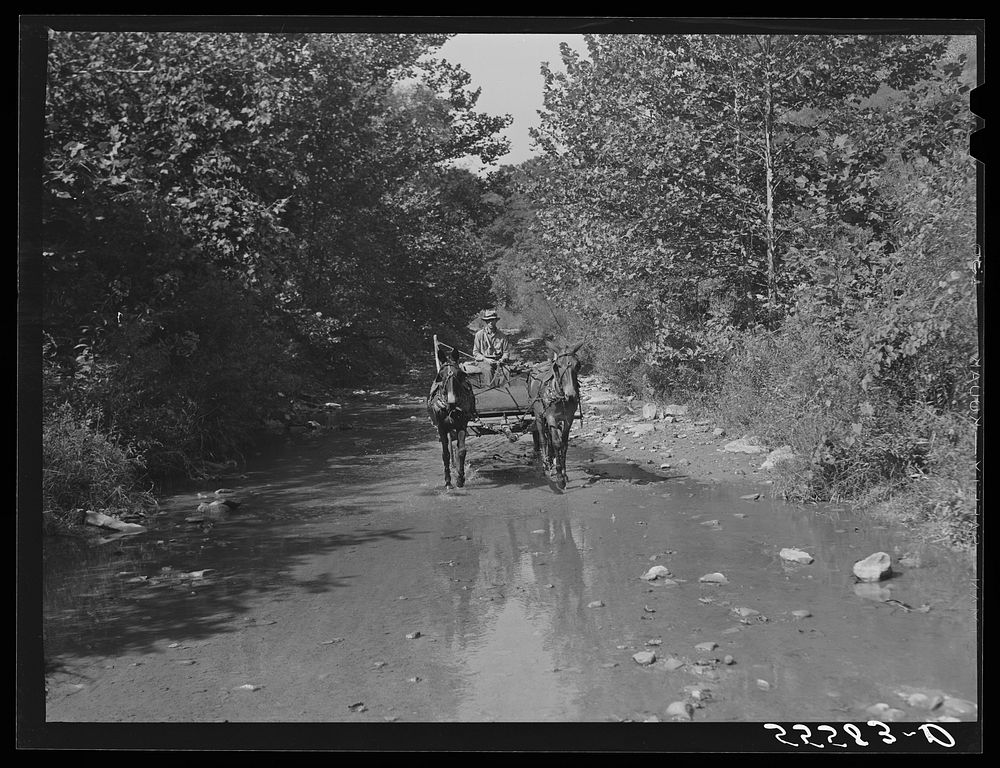 Mountaineers hauling coal up the creek bed to their homes. Morris Fork, Kentucky River, near Jackson, Kentucky. Sourced from…