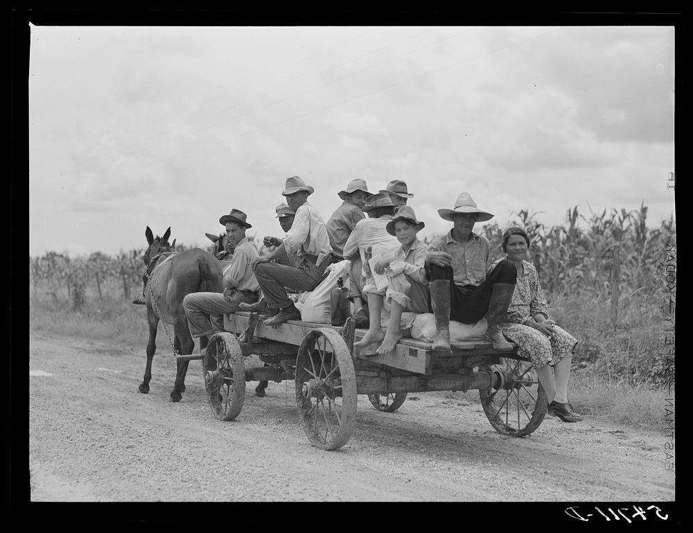Mulattoes returning from town with groceries and supplies near Melrose, Natchitoches Parish, Louisiana. Sourced from the…