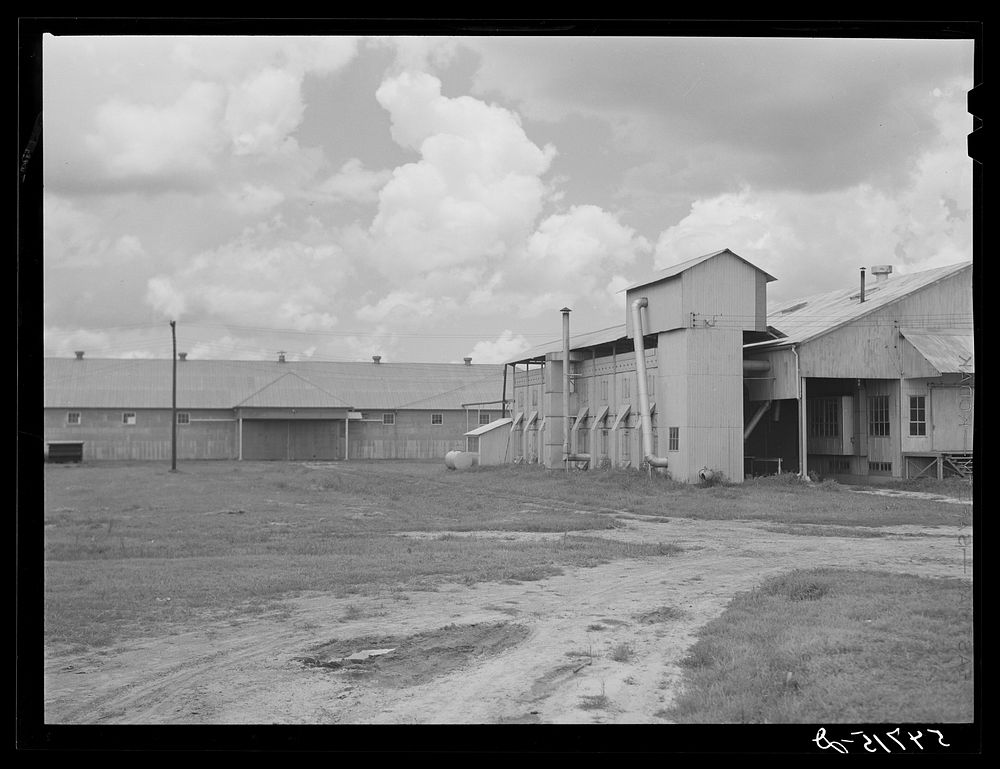 Gin and seed storage house. Hopson cotton plantation. Clarksdale, Mississippi Delta. Mississippi. Sourced from the Library…