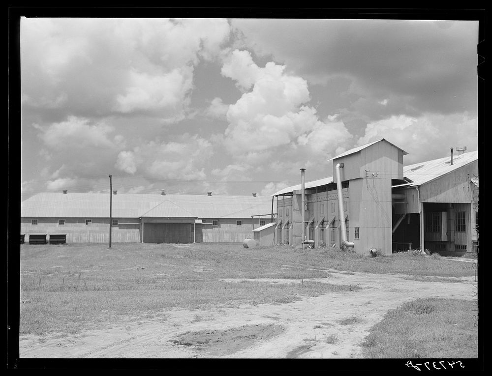 [Untitled photo, possibly related to: Seed house and portable cotton houses on Hopson cotton plantation. Clarksdale…
