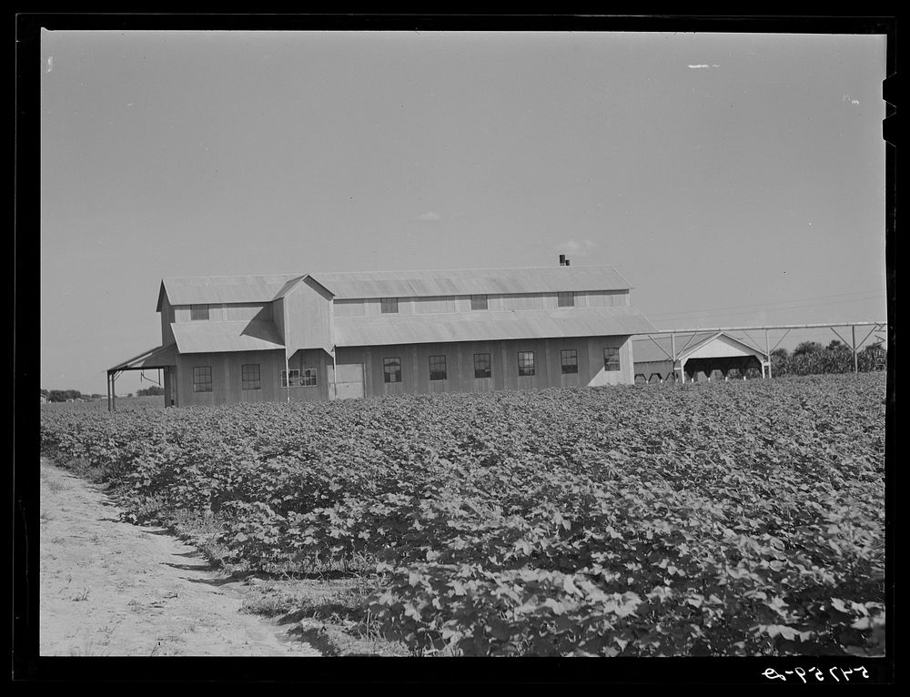 New cotton gin on King and Anderson Plantation near Clarksdale. Mississippi Delta, Mississippi. Sourced from the Library of…