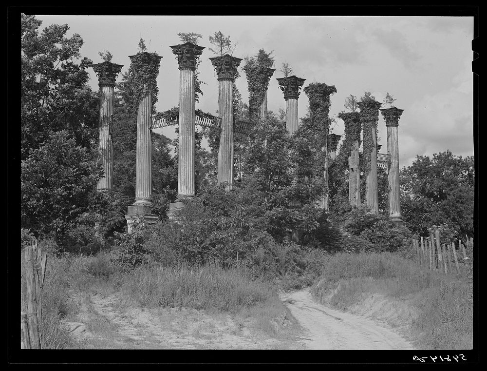 Port Gibson, Mississippi. Ruins of the old Windsor house, once a palatial estate, which was built in 1859 and destroyed by…