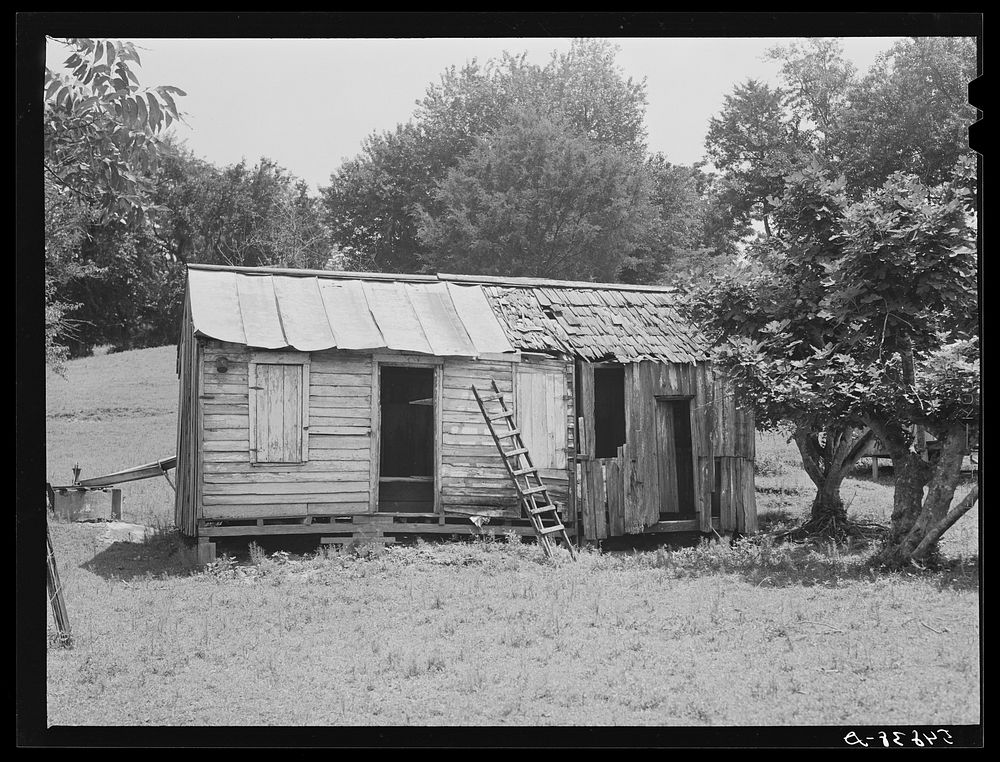 [Untitled photo, possibly related to: Rodney, Mississippi]. Sourced from the Library of Congress.