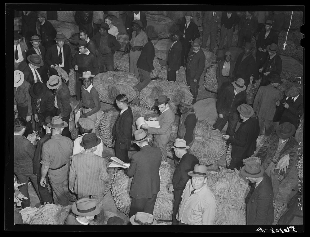 Tobacco auction in warehouse in Danville, Virginia, where many Caswell County farmers sell their tobacco at auction. Sourced…