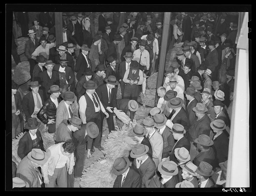 Tobacco auction in warehouse in Danville, Virginia, where many Caswell County farmers sell their tobacco at auction. Sourced…