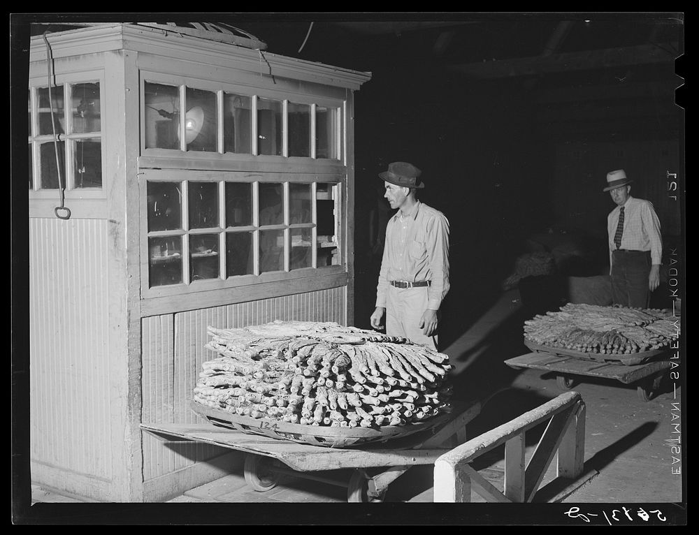 [Untitled photo, possibly related to: Weighing in tobacco on scales in warehouse in Danville, Virginia, where many Caswell…