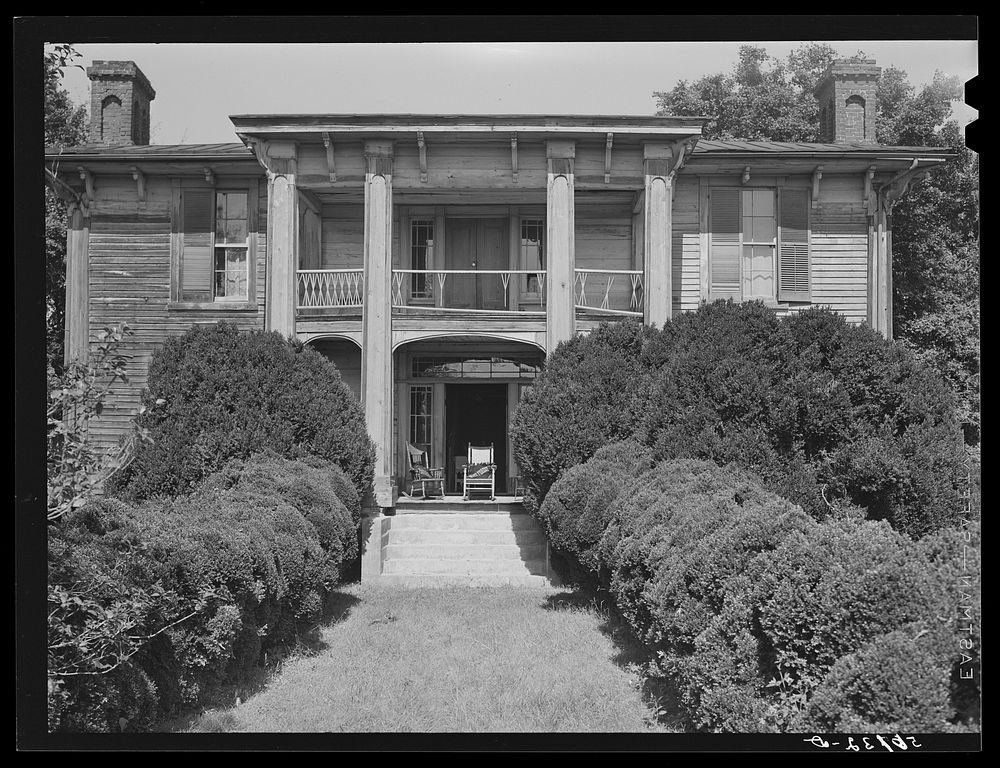 Old Thompson residence with boxwood, near Milton. Caswell County, North Carolina. Sourced from the Library of Congress.