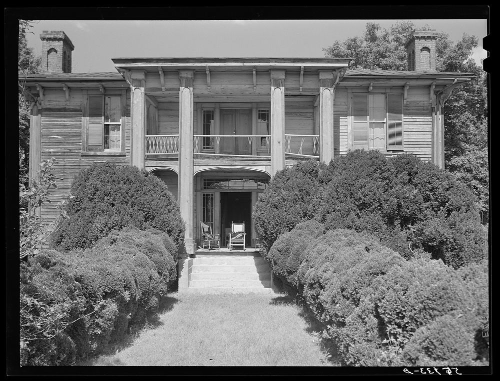 [Untitled photo, possibly related to: Old Thompson residence with boxwood, near Milton. Caswell County, North Carolina].…