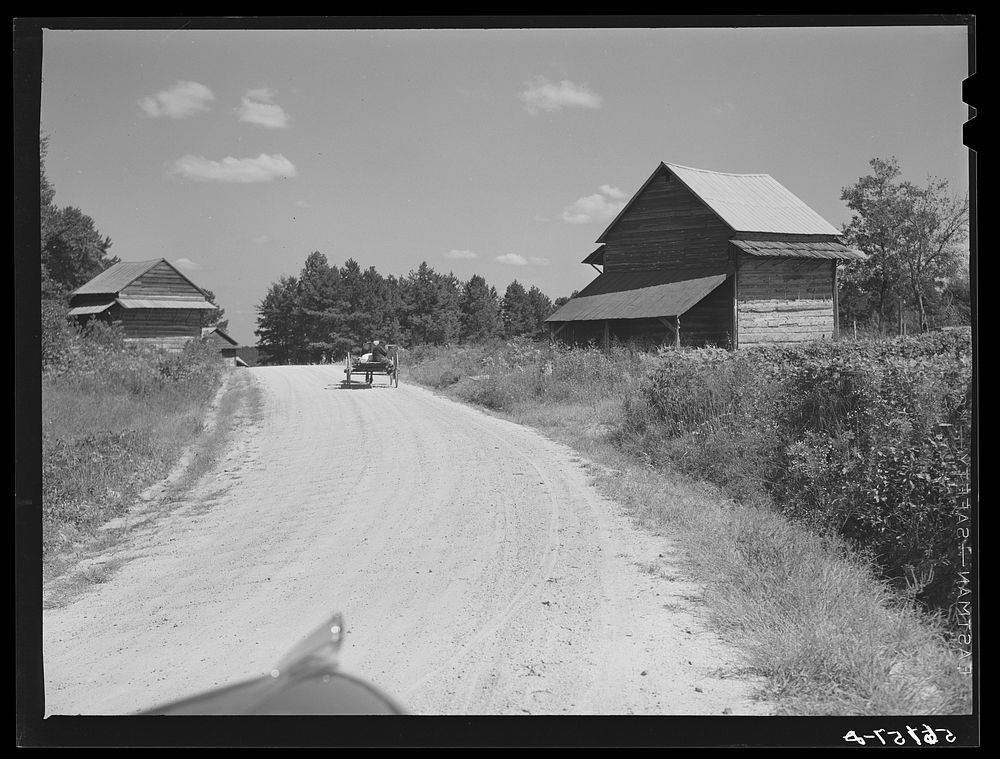 [Untitled photo, possibly related to: Wagon with stocks of meal on road in Corbett Ridge section. Caswell County, North…