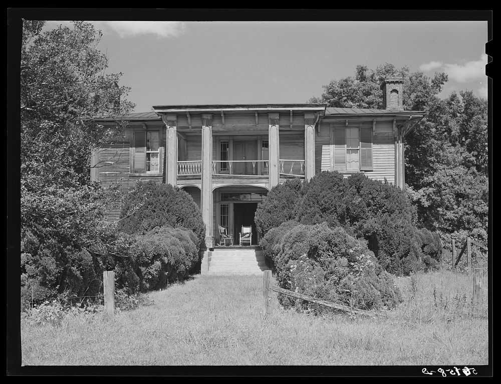 Old Thompson residence with boxwood near Milton, Caswell County, North Carolina. Sourced from the Library of Congress.
