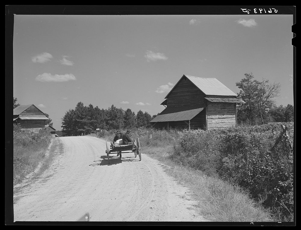 Wagon with stocks of meal on road in Corbett Ridge section. Caswell County, North Carolina. Sourced from the Library of…