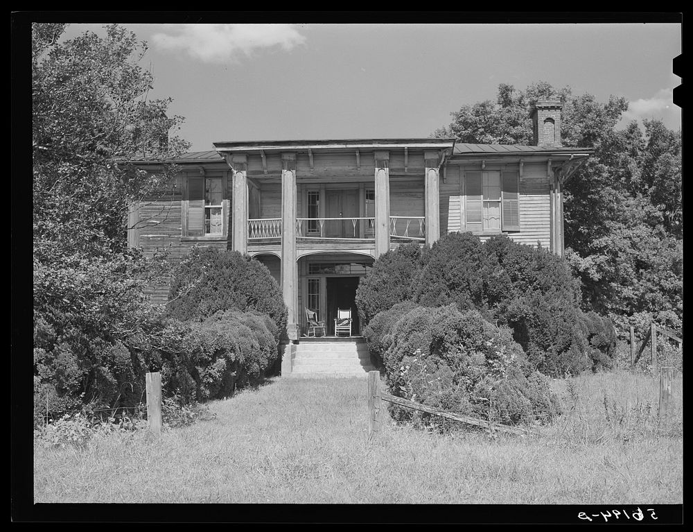 [Untitled photo, possibly related to: Old Thompson residence with boxwood near Milton, Caswell County, North Carolina].…