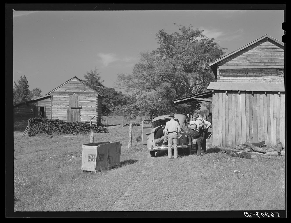 [Untitled photo, possibly related to: During the tobacco marketing season peddlers drive around to the tobacco barns and…