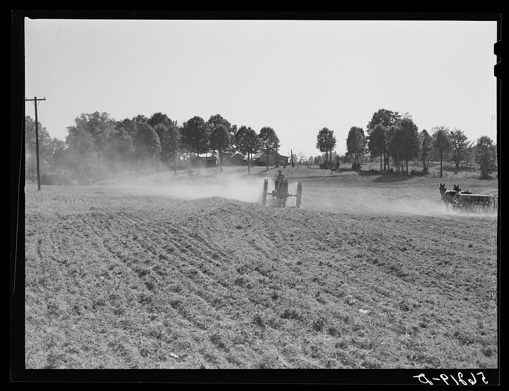 [Untitled photo, possibly related to: Plowing. Caswell County, North Carolina]. Sourced from the Library of Congress.