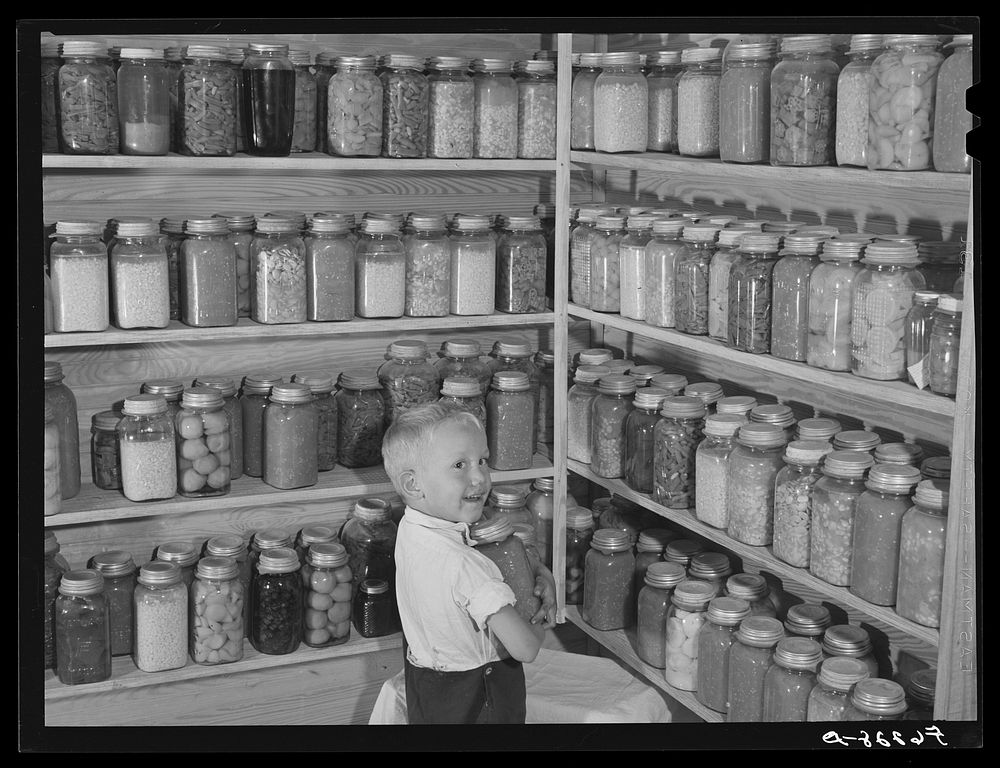 Bobby Willis, son of W.H. Willis, FSA (Farm Security Administration) borrower, getting some of their canned goods off the…