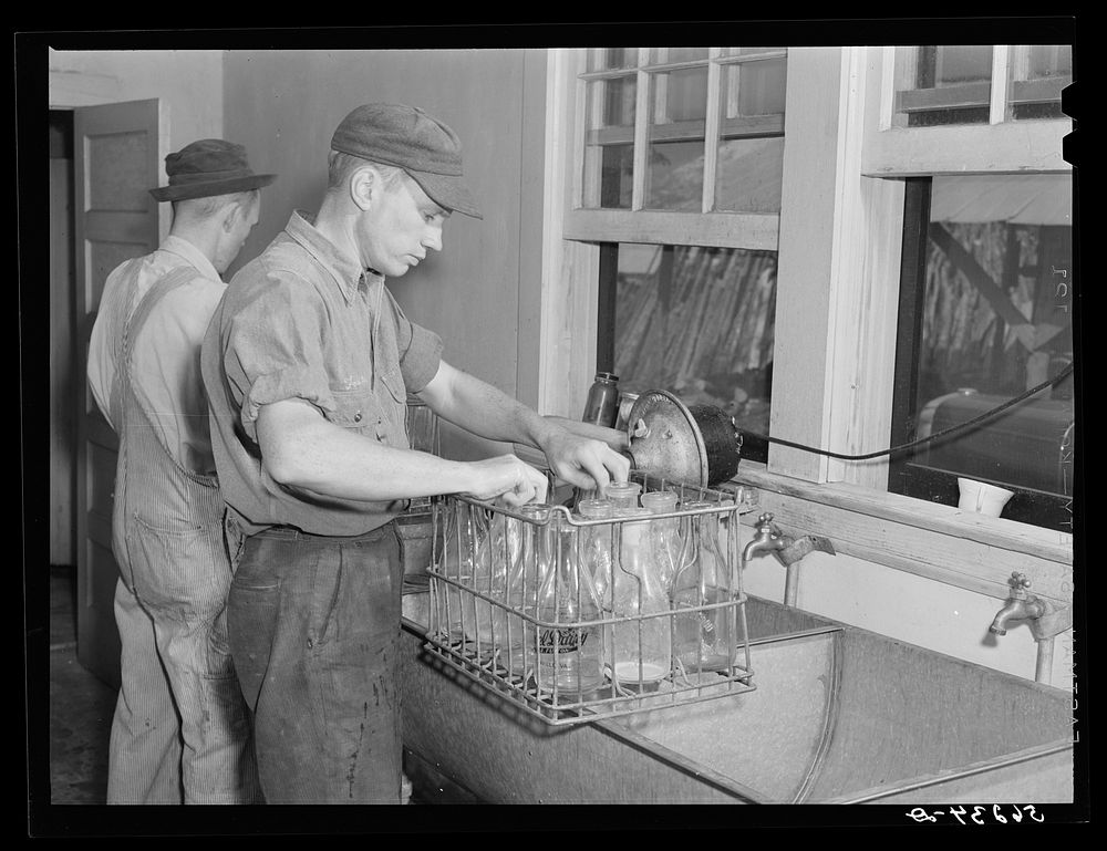 E.O. Foster's son (tenant purchase family) washing milk bottles in their Caswell Dairy. Caswell County, North Carolina.…