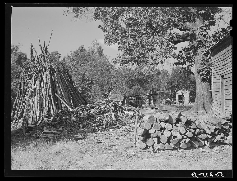 Stacks of wood for fuel on Emery Hooper's farm. Corbett Ridge section near Prospect Hill, Caswell County, North Carolina.…