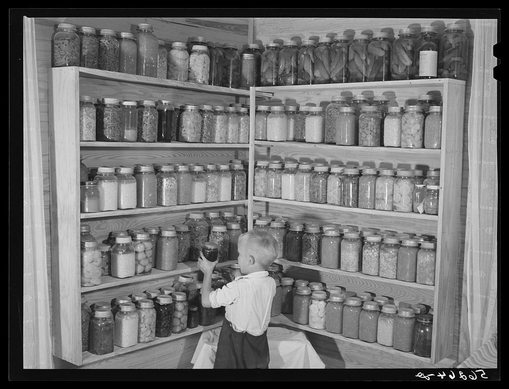 Bobby Willis, son of W.H. Willis, FSA (Farm Security Administration) borrower, getting some of their canned goods off the…