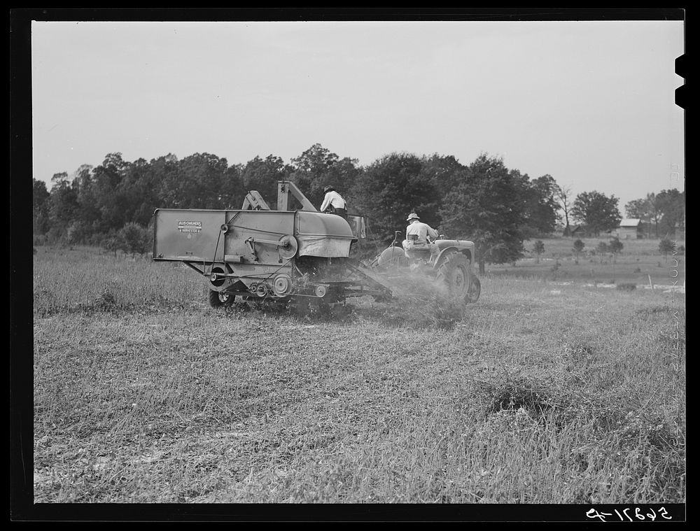 Harvesting soybean seed on the Roger's farm with a co-op combine purchased by Emery M. Hooper through a FSA (Farm Security…