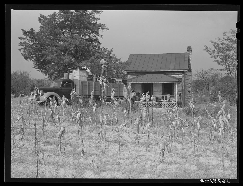 In the fall of the year after the crops are up many tenants and sharecroppers move into another farm. This  family was…