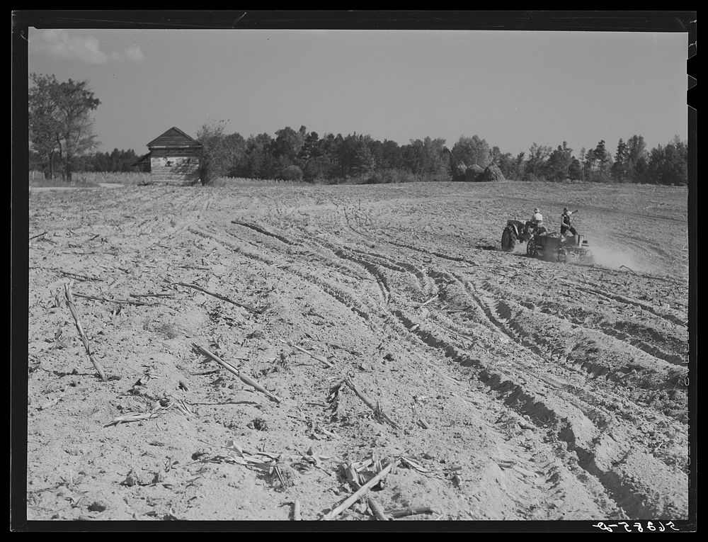 [Untitled photo, possibly related to: Spreading lime to increase productivity of soil before planting winter wheat on Emery…