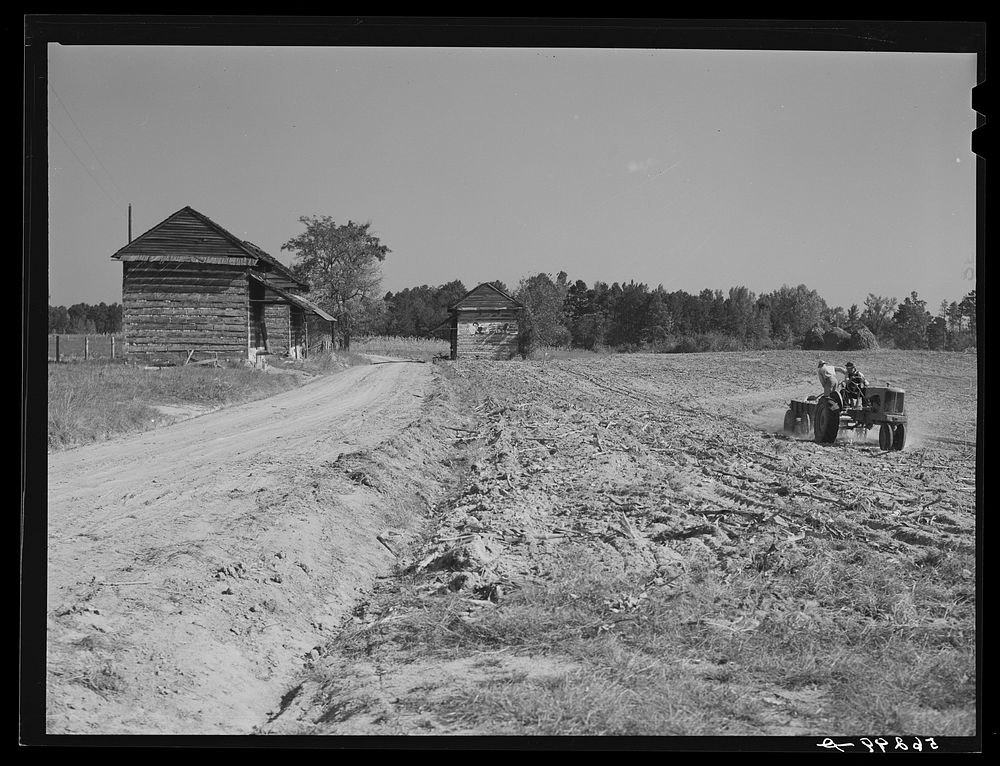 Spreading lime to increase productivity of soil, before planting winter wheat on Emery M. Hooper's tobacco farm in Corbett…