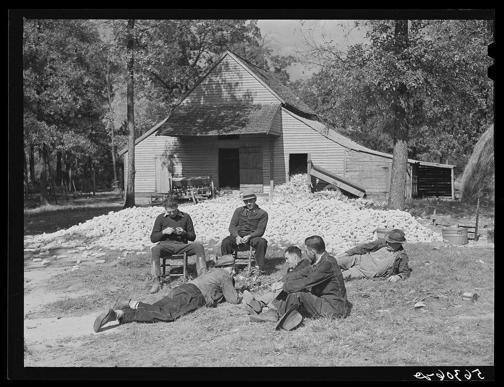 Farmers who have just finished shucking corn resting after large dinner on Hooper's farm near Hightowers and Prospect Hill.…