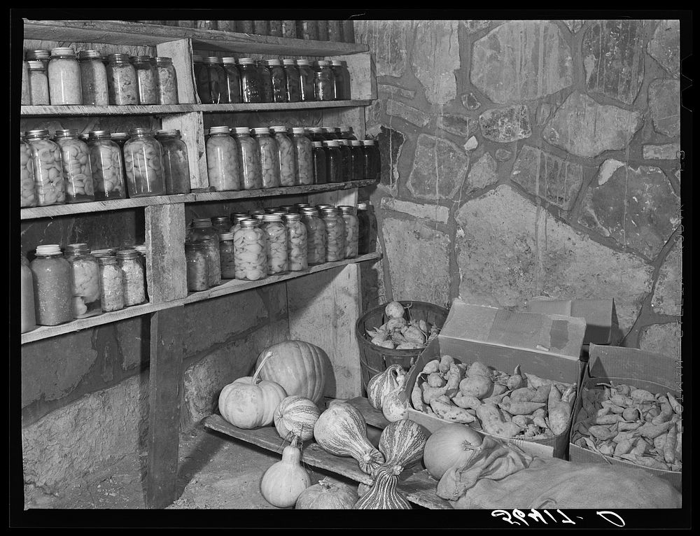 S.H. Castle's vegetables and canned goods raised on his farm in his new storage house. Southern Appalachian Project near…
