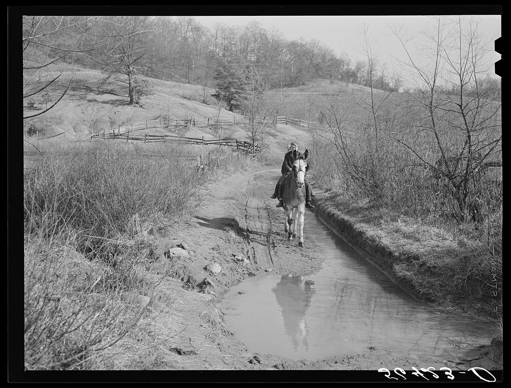 Two of Dutton ("Dut") Calleb's children on the back of a mule. Southern Appalachian Project near Barbourville, Knox County…