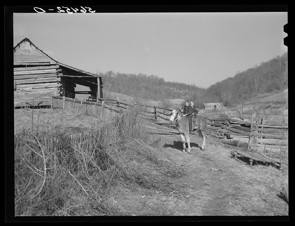 [Untitled photo, possibly related to: Two of Dutton ("Dut") Calleb's children watering the mule. Southern Appalachian…