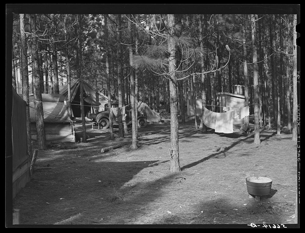 Tents near Camp Livingston, Alexandria, Louisiana, for construction workers. Sourced from the Library of Congress.
