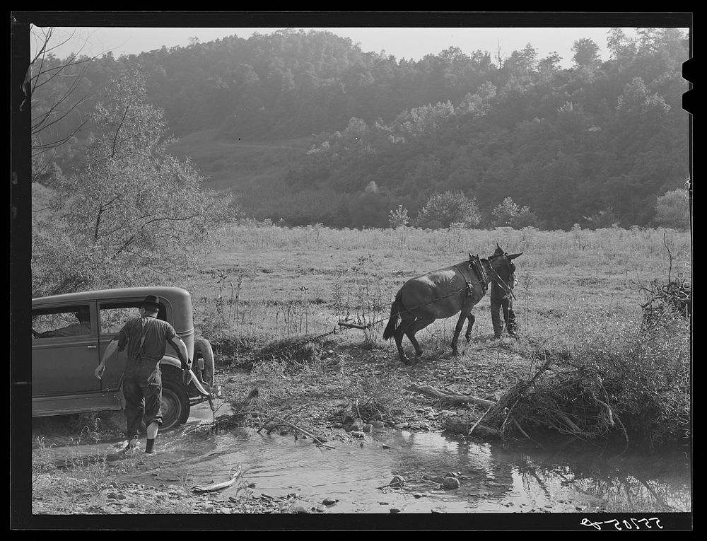 Mountaineers trying to pull the car out of the creek with a mule. South Fork of the Kentucky River. Breathitt County.…
