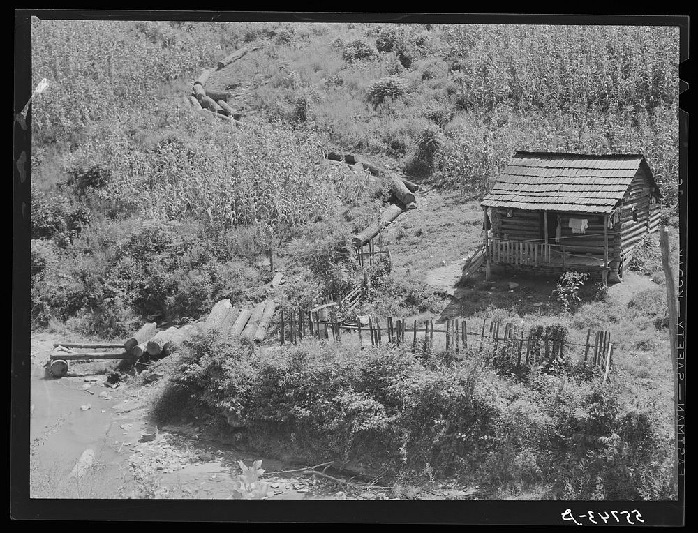 Logging is one of the few sources of income to mountaineers. This cabin with the cornfield above it is near Hyden, Kentucky.…
