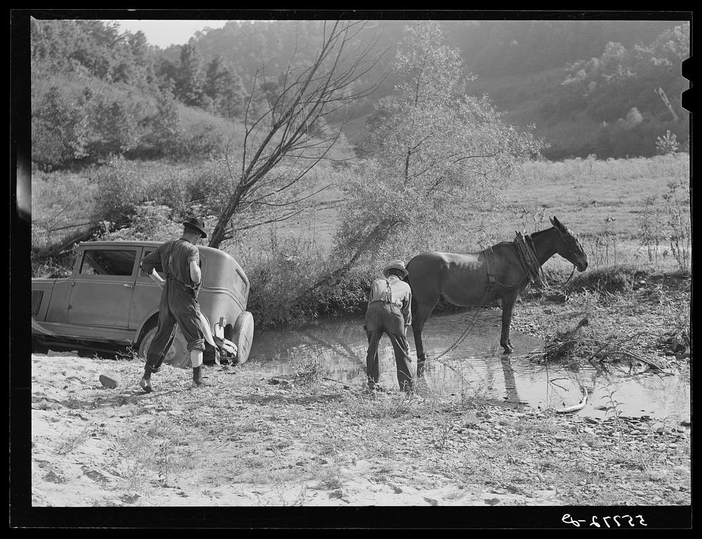 Mountaineers trying to pull the car out of the creek with a mule. South Fork of the Kentucky River. Breathitt County.…