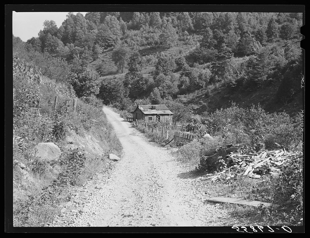 Home up Stinking Creek on Pine Mountain, Kentucky. Sourced from the Library of Congress.