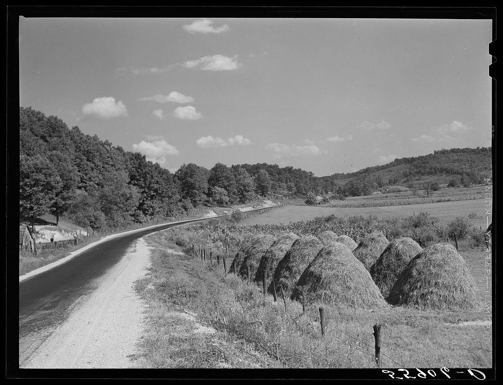 Fall scene. Haystacks along road between Jackson and Campton, Kentucky. Sourced from the Library of Congress.