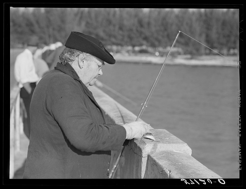 [Untitled photo, possibly related to: Guest of Sarasota trailer park, Sarasota, Florida, with fish bait, fishing from…