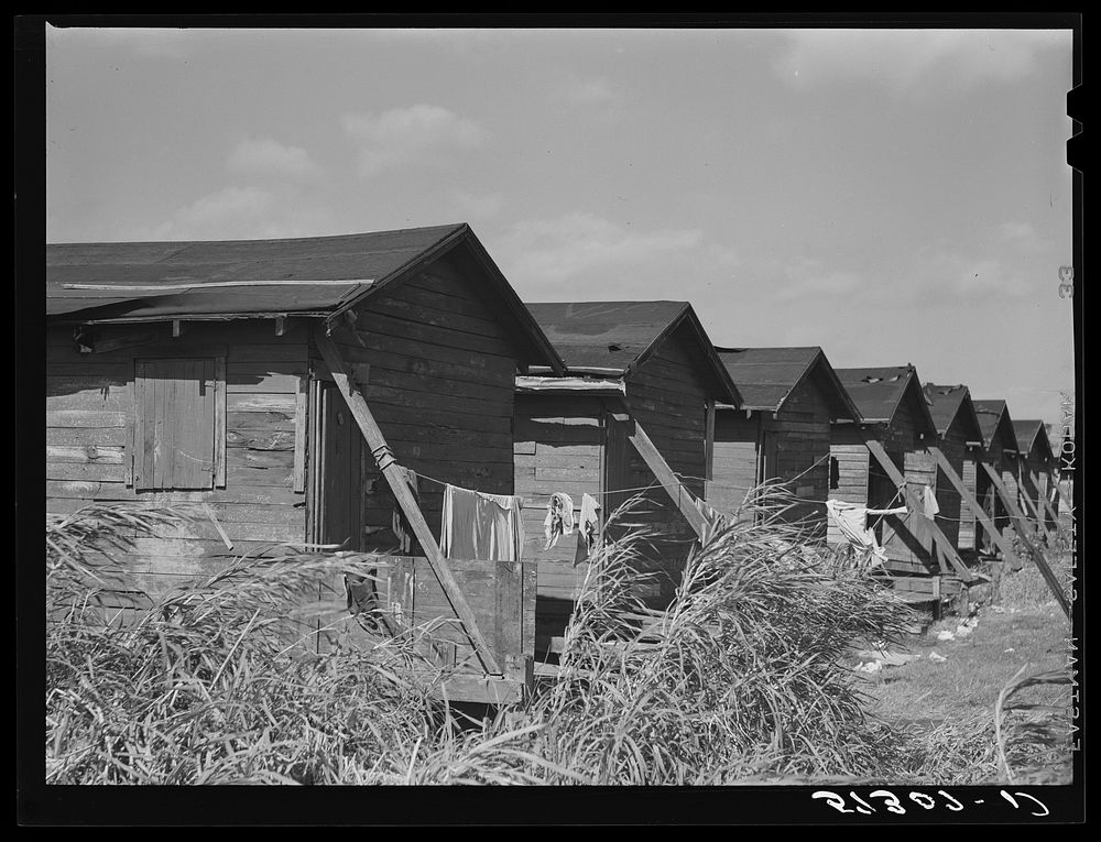 Houses condemned by board of health still occupied by  migratory workers. Belle Glade, Florida. Sourced from the Library of…