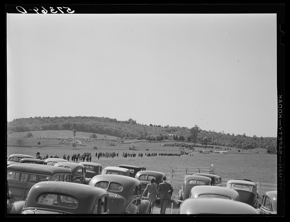 [Untitled photo, possibly related to: Parked cars for spectators. Point-to-Point Cup Horse race. Worthington Valley, near…