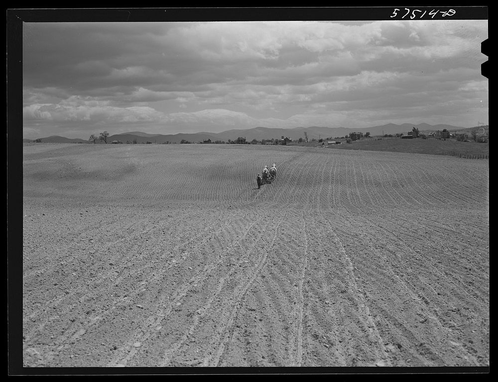 Planting corn in the fertile farmland of the Shenandoah Valley, Virginia. Sourced from the Library of Congress.