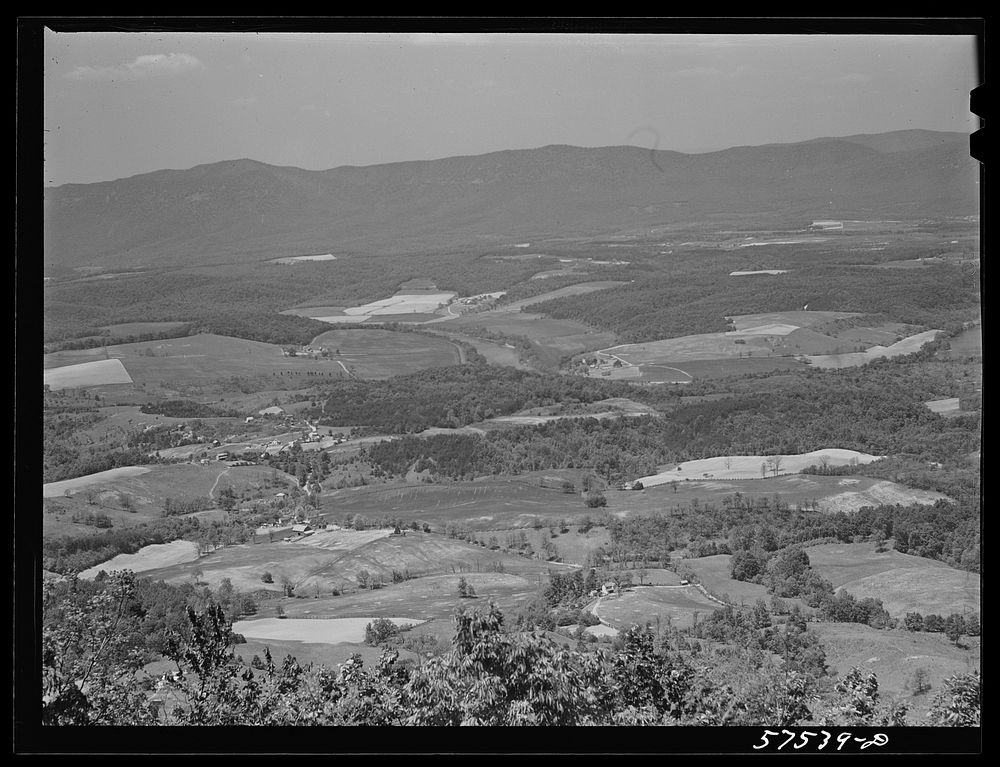 Fertile farmland in the Shenandoah Valley from top of Skyline Drive, Virginia. Sourced from the Library of Congress.