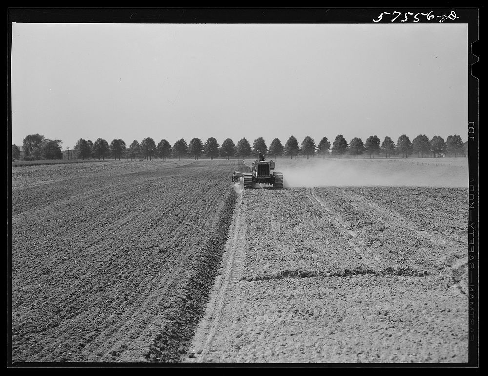 Harrowing field before planting. Starkey Farms, Morrisville, Pennsylvania. Sourced from the Library of Congress.