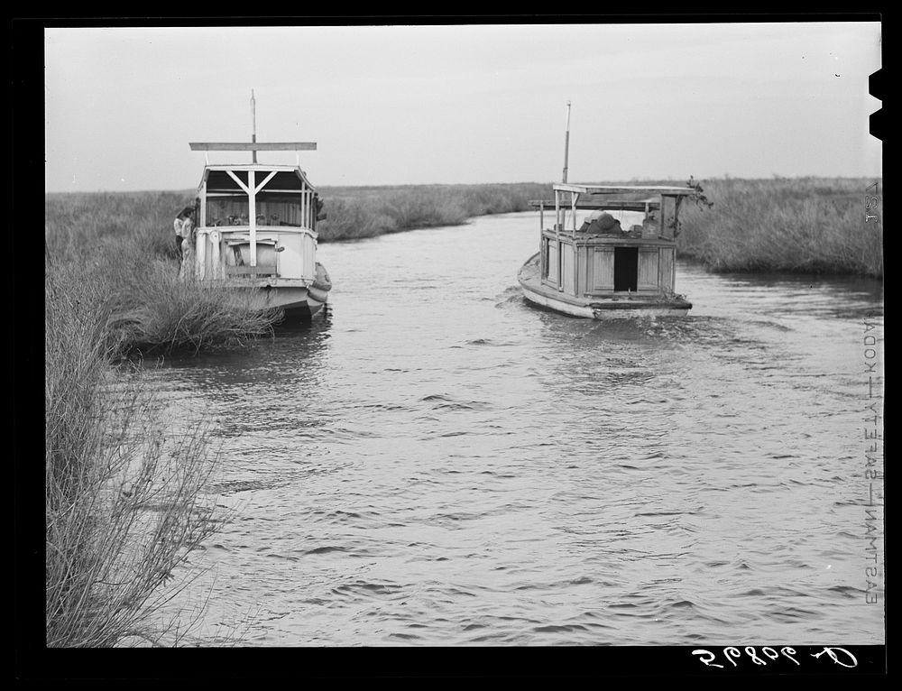 [Untitled photo, possibly related to: A Spanish muskrat trapper's boat in a bayou by his marsh camp. He uses this large boat…