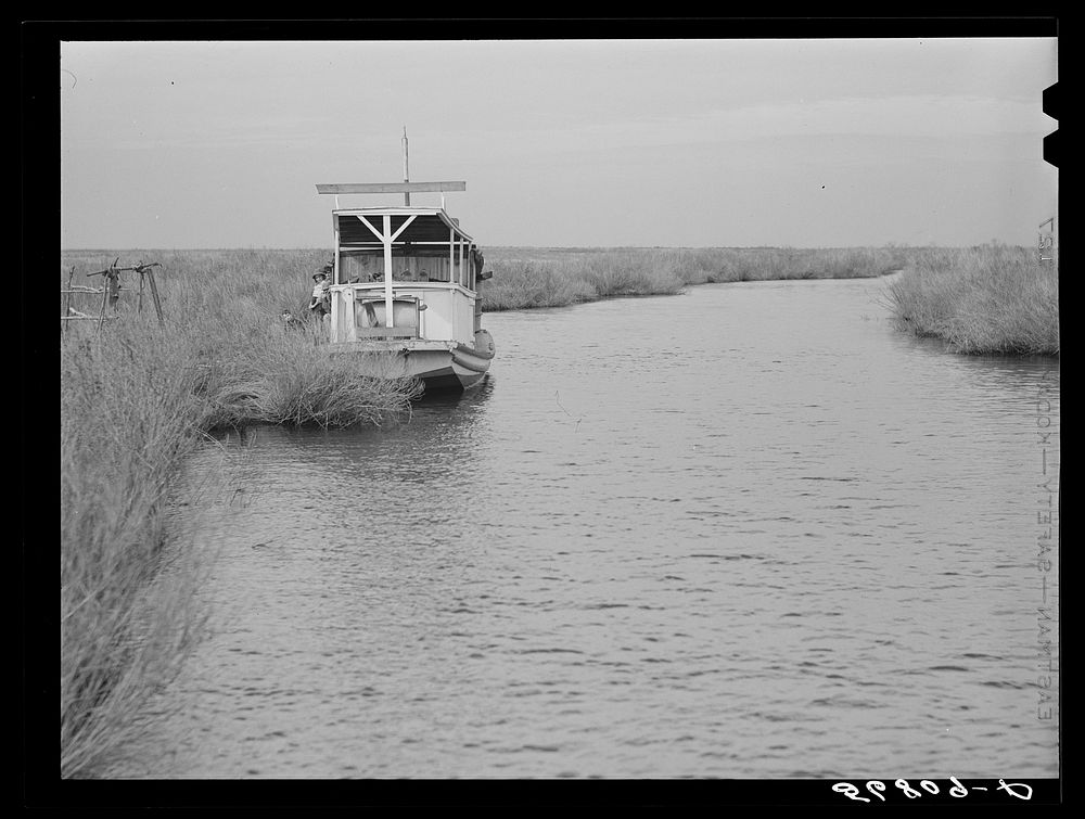 A Spanish muskrat trapper's boat in a bayou by his marsh camp. He uses this large boat in other seasons for fishing and…