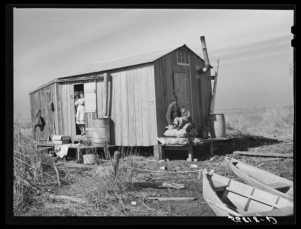 Spanish muskrat trapper's home in the marshes. In the small boats or "piroques" he can go up the very narrow and shallow…