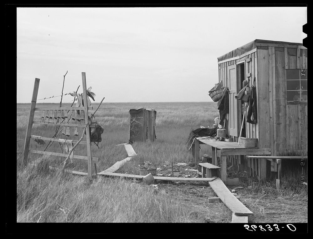 Muskrat skins hanging up to dry by Spanish trapper's home in the marshes.  He then takes the furs to the island to sell.…