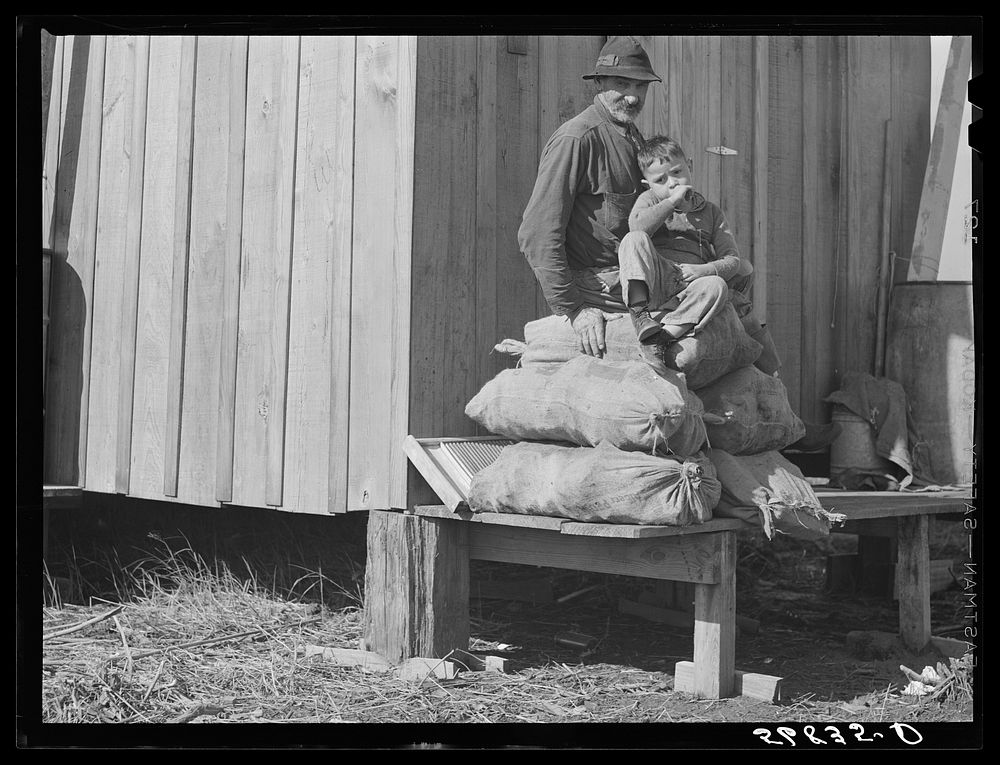 Spanish muskrat trapper and his grandson sitting on sacks of dried muskrat pelts, in front of their camp in the marshes.…